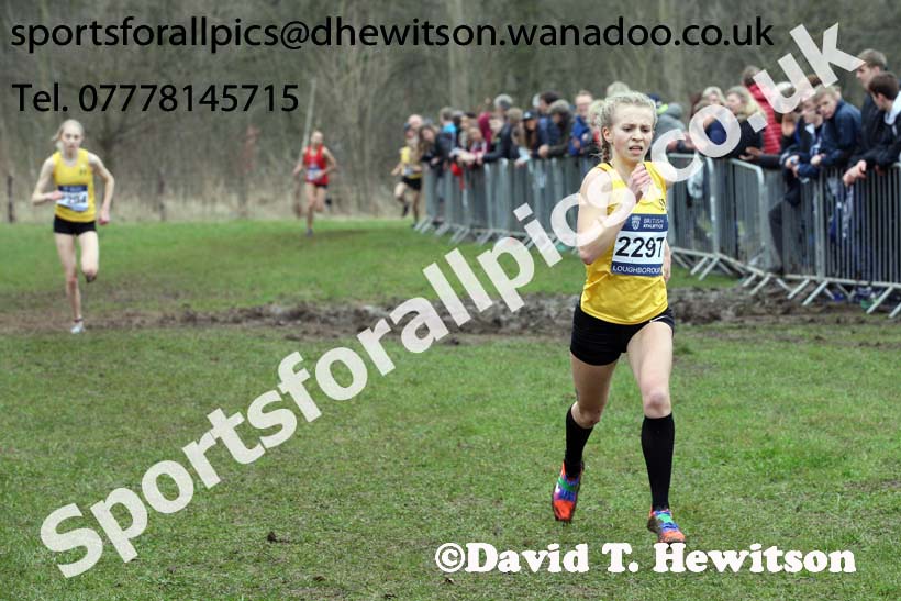 Womens under-17s Inter Counties Cross Country, Prestwold Hall, Loughborough. Photo: David T. Hewitson/Sports for All Pics